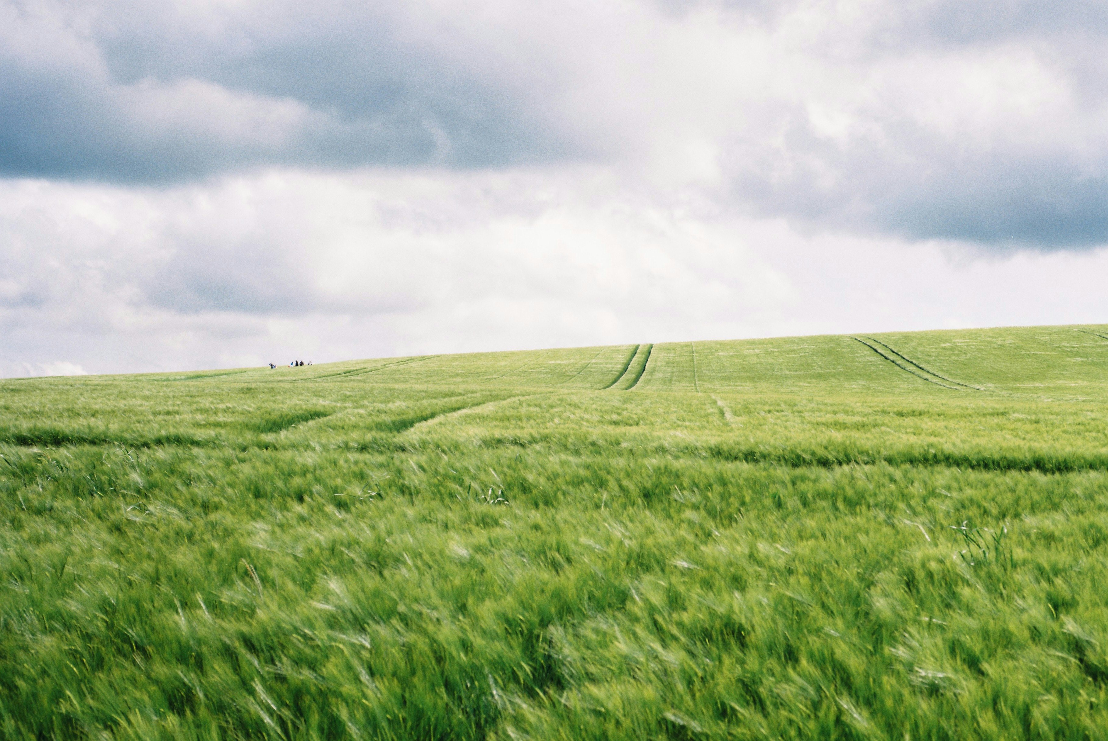 cloudy sky over field